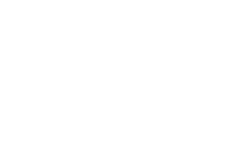 DSW