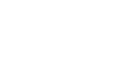 The Farmer's Dog